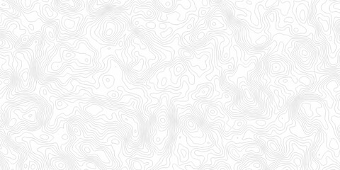 Minimal landscape abstract grid topography paper elegant elevation map cartographic line design. terrain and geography map grid abstract wallpaper. © Art new design
