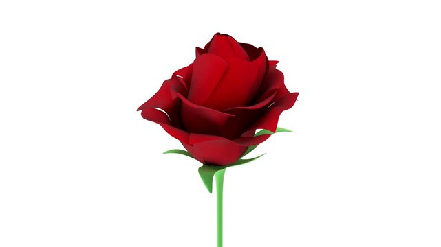Single red rose slowly rotating to show layered petals and green stem against changing plain backgrounds in a clean minimal 3D render, 3D animation