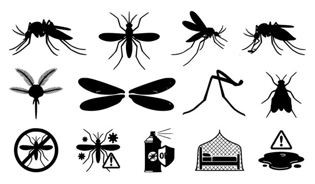 Realistic mosquito vector set with insect anatomy disease awareness and pest control illustration elements for health design