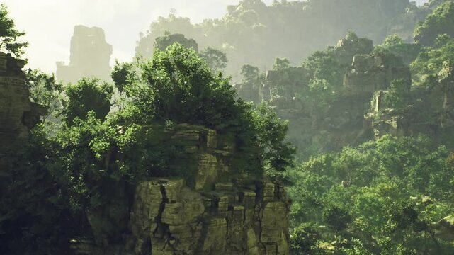 Misty jungle bluff with rugged outcrop, thick vegetation clinging to steep ledges, atmospheric haze and diffused light creating moody palette, ideal