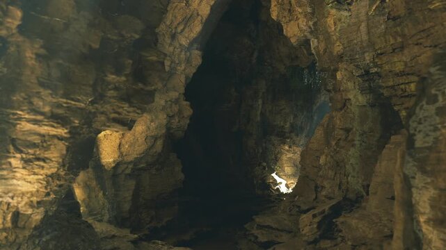 Hang son doong cavern cathedral of light shows vertical beam piercing humid darkness with rugged limestone ribs, soft vegetation halo, warm golden highlights
