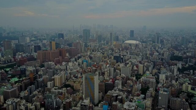 Wide panoramic high-angle view of Tokyo, Japan, showing a vast dense urban landscape with residential and commercial buildings stretching toward the distant skyline under an overcast hazy sky. Ideal f