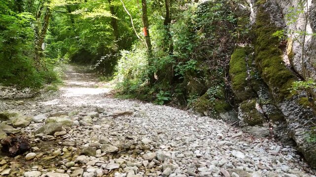 Sentiero sterrato e sassoso che si snoda in un bosco, accanto a una parete rocciosa ricoperta di muschio