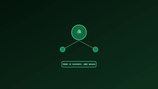 Cryptocurrency proof of reserves 100% backed digital infographic animation for blockchain security and financial transparency 4k