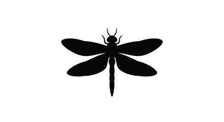 Black Dragonfly Silhouette Against A White Background Minimalist Insect Shape Silhouette bug © jivect02