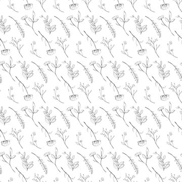 Seamless pattern of hand drawn line art flowers on a transparent background