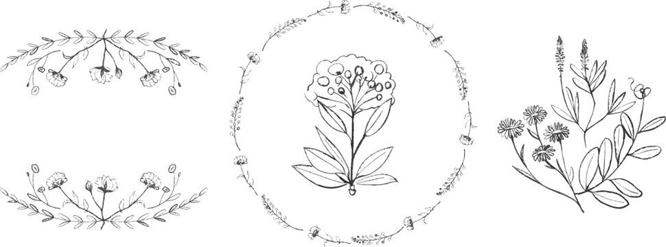 Hand Drawn Floral Wreath and Elements Set