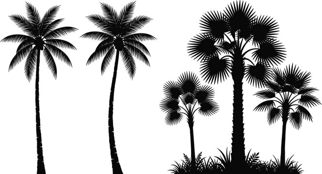Tropical palm and borassus tree silhouettes set isolated on white background vector illustration