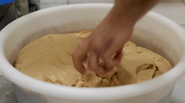 A baker's hand pulls and stretches soft tan dough from a proofing bucket.