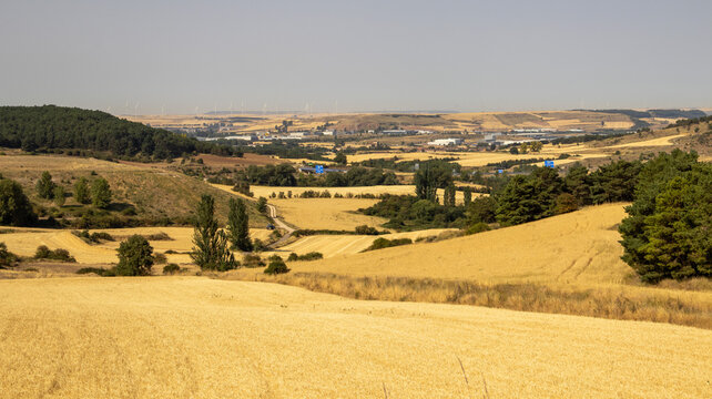 Amplio paisaje de campos dorados y colinas bajo el cielo
