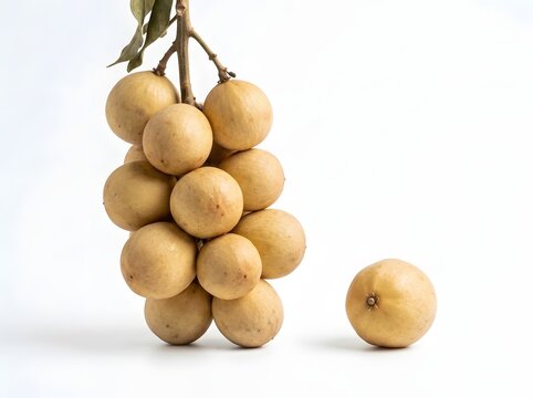 Fresh Duku Fruit Cluster on White Background. Tropical Fruit for Healthy Eating