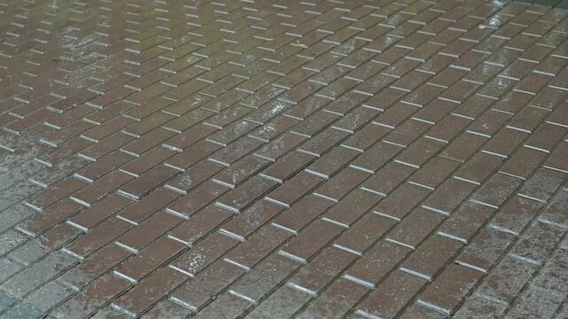 Water collects in the gaps of brick pavement after a light rain, showing the texture and pattern of the bricks