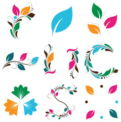Obraz premium Decorative floral elements and leaves graphic design components