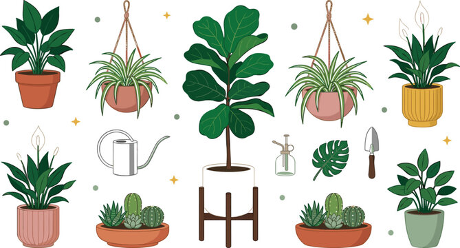 Houseplant collection featuring fiddle leaf fig, spider plant, peace lily, succulents, hanging planters, and indoor gardening essentials flat vector illustration