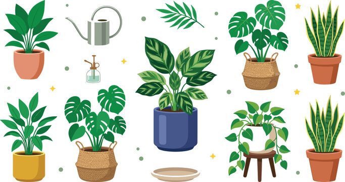Indoor houseplant collection featuring monstera, snake plant, calathea, leafy tropical plants, watering can, and modern home decor flat vector illustration