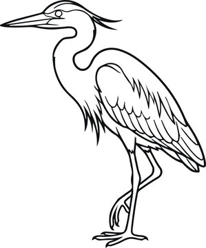 heron on a white background