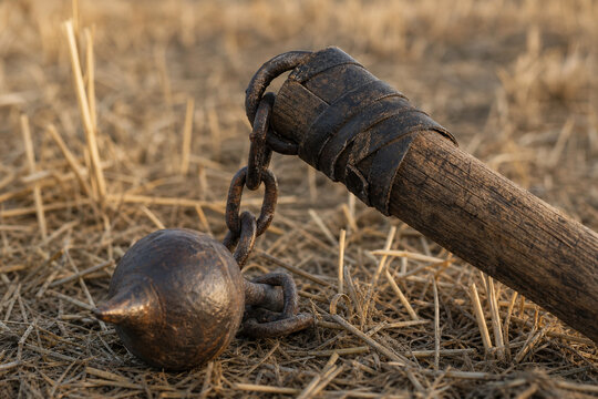An old, worn flail discarded in a wheat field with textured wood and leather.