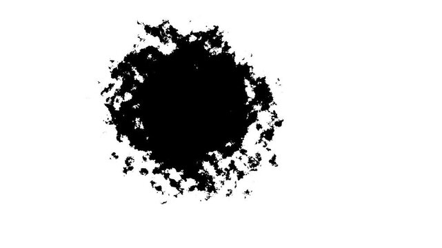 Black watercolor ink splatter transition flowing across white lower background beneath a dark upper frame, organic paint bleed, fluid art reveal, alpha matte overlay, cinematic ink bloom effect
