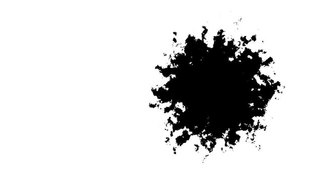 Black watercolor ink splatter transition flowing across white lower background beneath a dark upper frame, organic paint bleed, fluid art reveal, alpha matte overlay, cinematic ink bloom effect