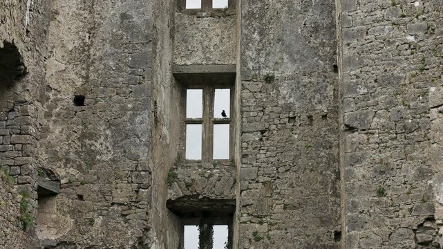 Ruins of Roscommon Castle near Athlone, County Roscommon, Ireland