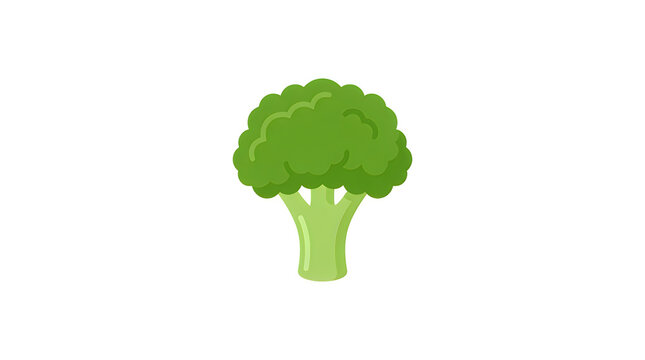 Fresh broccoli head isolated on white background with broccoli vegetable nutrition vegetarian culinary