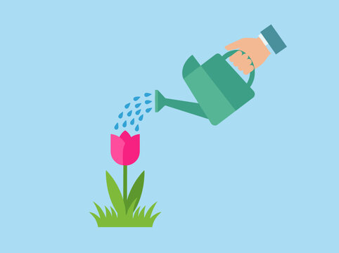 Hand with watering can pouring water on pink tulip flower growing in green grass vector illustration concept for nurturing nature isolated on light blue background