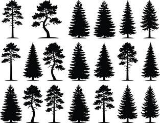 Fototapeta premium Coniferous forest pine and fir tree silhouette collection for wilderness landscape design christmas graphics and woodworking project elements