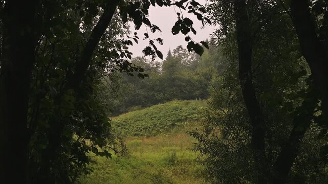 wooded area with a variety of trees framing a large green landscape. The scene features neutral colors and cloudy weather, suggesting an outdoor location