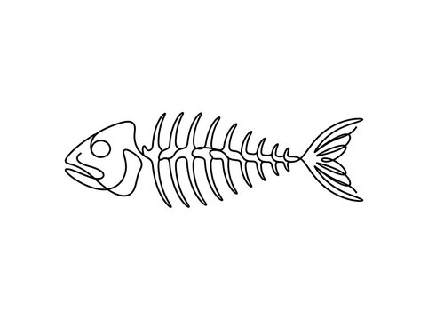 Simple fish skeleton illustration on white background.