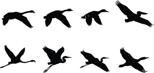 Bird Silhouette Collection Featuring Flying Geese Cranes Herons and Large Bird Vector Designs © MDSAMEUL