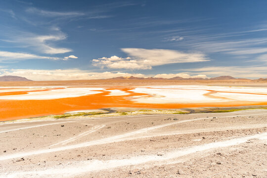 Laguna Colorada, Bolivia. The Red Lagoon, Sunny Day in Bolivia.
