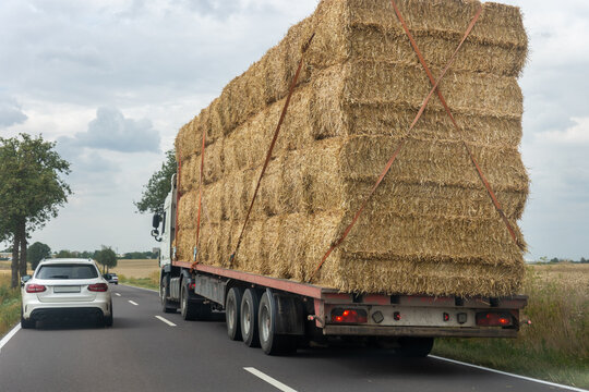 Overloaded flatbed truck carries towering straw bales along rural highway beside passing car. Agricultural transport scene shows cargo, harvest logistics, countryside traffic, and cloudy weather