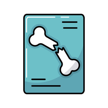 Bone fracture X-ray scan vector icon