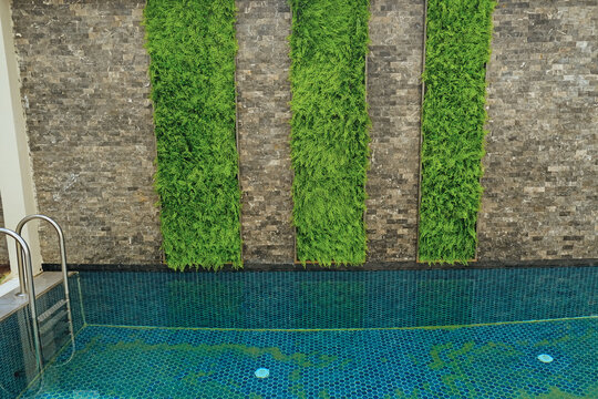 Dirty pool water with green algae and stained mosaic tiles. Poor maintenance and hygiene concerns in an outdoor swimming pool.