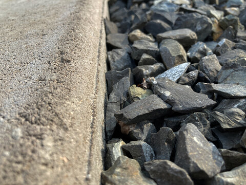 A close-up of gravel stones and a concrete edging that creates a neat boundary between the garden and the walkway, adding structure, durability, and aesthetic appeal to the landscape.