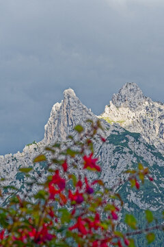 Bergwelt