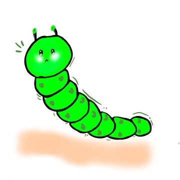 caterpillar
