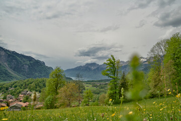 Fototapeta premium Lake Brienz alpine valley view from Brünig - Hasliberg in spring, Bernese Oberland, Switzerland