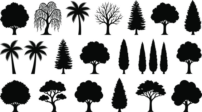 Nature tree silhouette vector collection featuring various botanical types including palm pine cypress willow oak and forest foliage elements