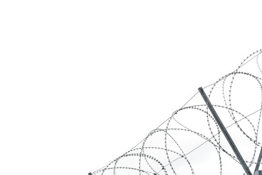 Barbed wire fence loops with sharp razor coils against a plain white sky background. Security barrier structure with steel wire mesh protection for border control or prison confinement.