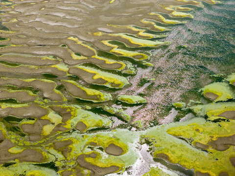 Aerial view of intricate sandbars and vibrant green algae patterns along the riverbank in Krcedin, Vojvodina, Serbia.