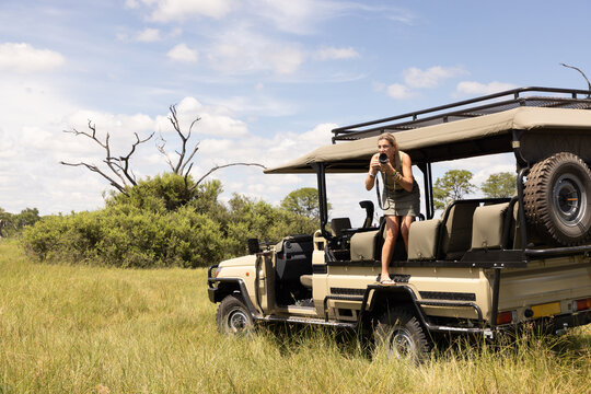 adult woman photographer leaning out of safari vehicle, Okavango Delta, Botswana, Africa