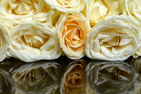 wedding bouquet of roses