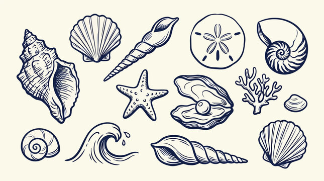 Collection of diverse seashells and marine elements drawn in a vintage sketch style against a cream backdrop