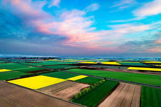 Aerial view of vibrant yellow rapeseed fields and green farmland under a colorful sunset sky near Edingen-Neckarhausen in Mannheim, Baden-Wurttemberg, Germany.