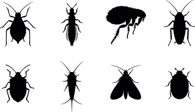 Silhouettes of household and pest insects including bed bug, flea, and cockroach