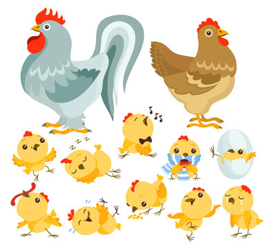 Cute cartoon chickens. Roosters and hens. Yellow chicks. Easter character hatching from egg. Mascot displaying various emotions. Happy domestic animals. Funny baby birds vector set