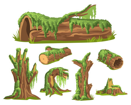 Moss covered stumps. Fluffy plants covering tree trunks. Wooden surfaces with green lichen. Morass creeping micro vegetation. Overgrown wood with oakmoss. Natural mossy branches vector set