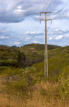 Power Lines Crossing the Caatinga Landscape in Patos, Para&iacute;ba, Brazil on July 14, 2005