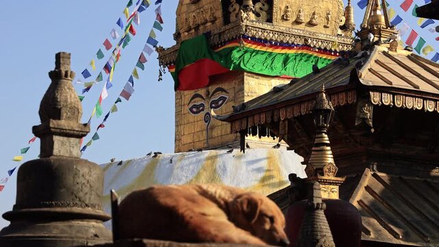 one of the most visited temple in kathmandu in nepal. swayambhunath temple	